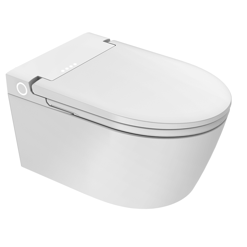Wall Hung Smart Toilet Manufacturer Best Mounted