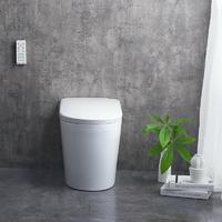 CUPC tankless bidet toilet JT-8011