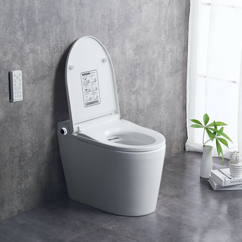 Cupc Tankless Bidet Toilet Jt-8016 | Jt