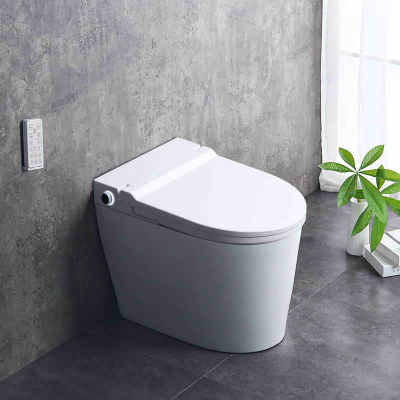 convenient best modern toilets household longlasting durability JT