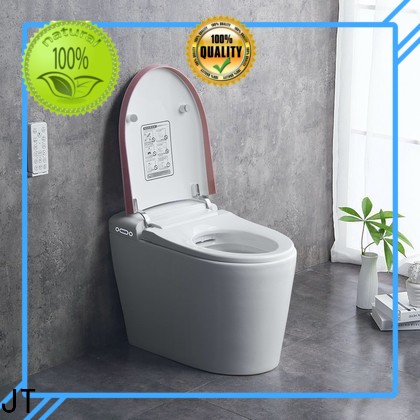 ecoway titandt300 smart bidet toilet