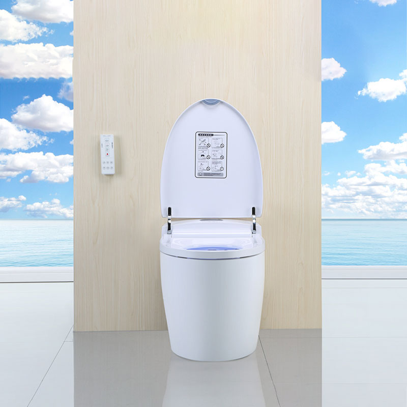 Tankless Compact Smart Toilet, Commercial Tankless Toilet