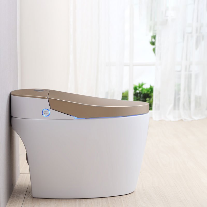 OEM ODM with tank-less compact design electric toilet 1015-Gold