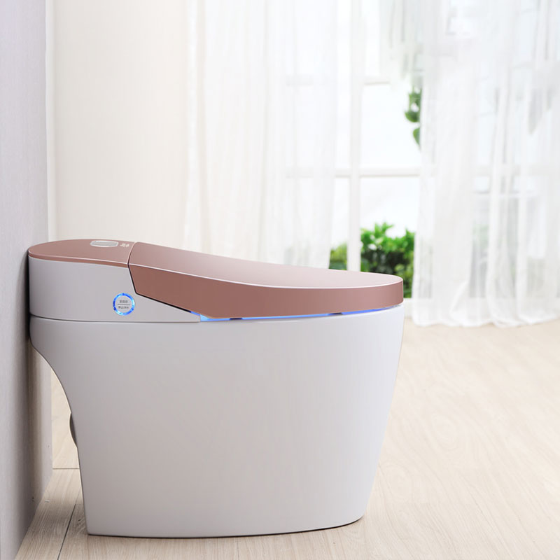 rose gold small compact toilet for shower room