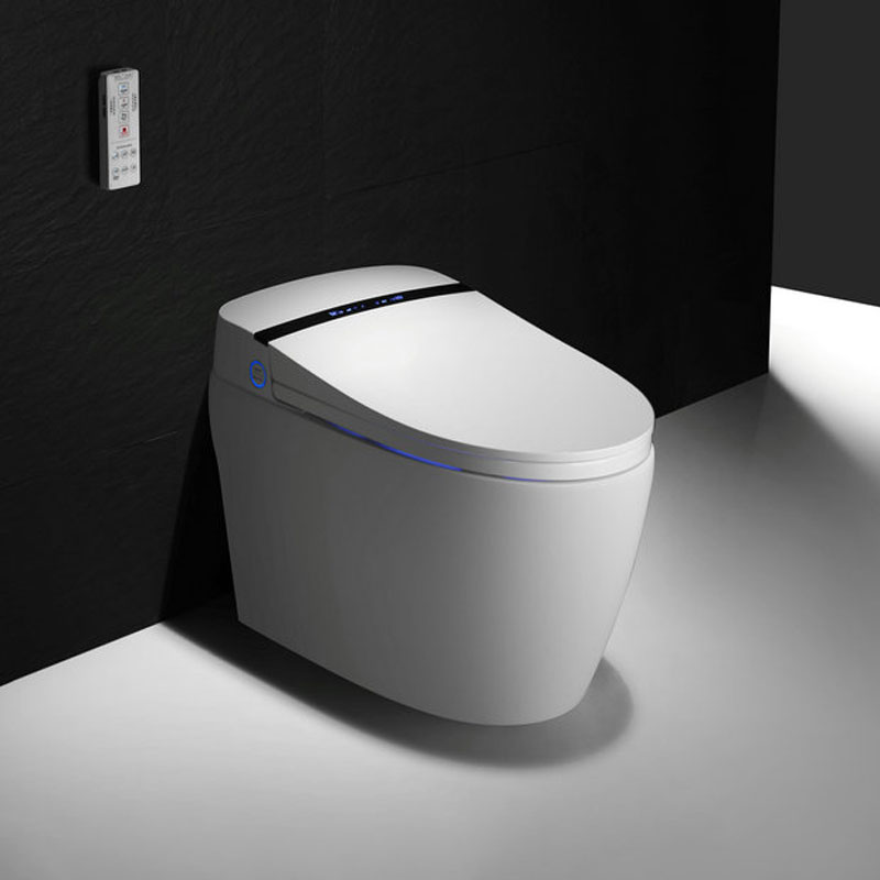 factory direct supply best high-end compact toilet