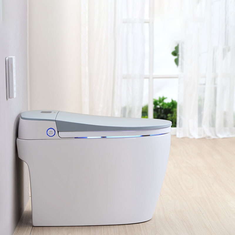 Intelligent toilet tank-less compact toilets for small spaces