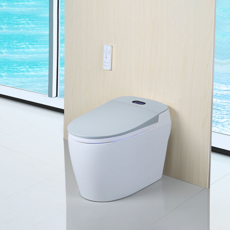 Compact Intelligent Toilet For Small Spaces