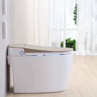 Electric toilet tank-less compact design 1017-Gold