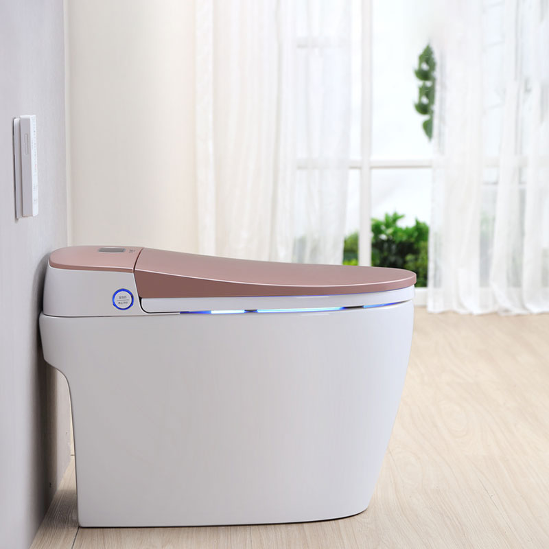 JT intelligent WC tank-less tankless toilet