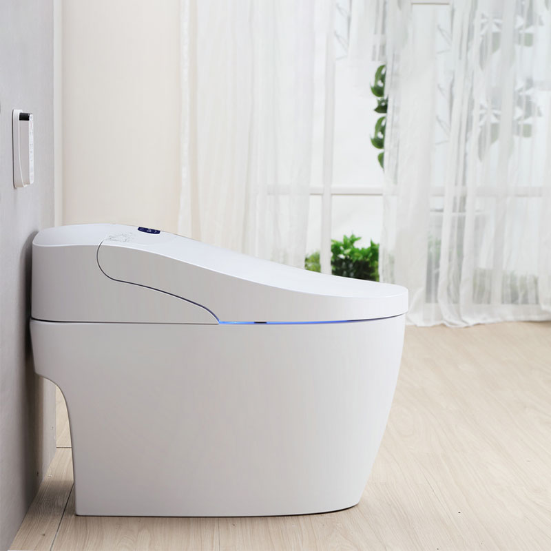 Auto open cover and seat dusch toilet built-in water tank zero water pressure JT-1018